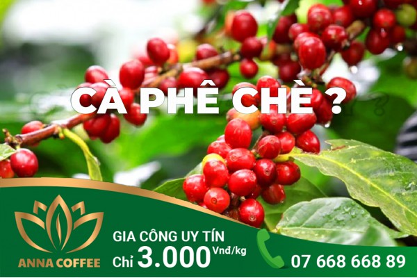 BẠN ĐÃ TỪNG NGHE QUA CÀ PHÊ CHÈ?